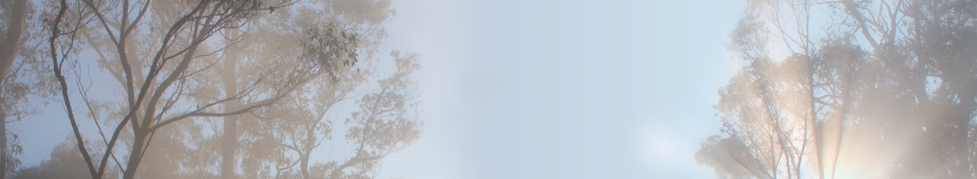 banner_3